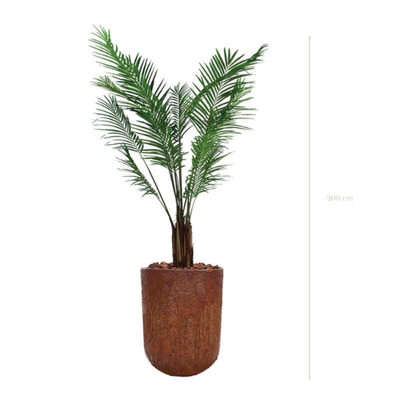 Plante artificielle - L'Areca