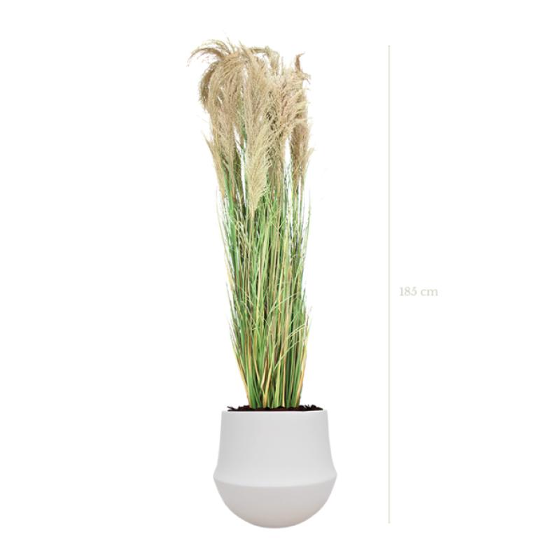 Plante artificielle - La Grande Pampa