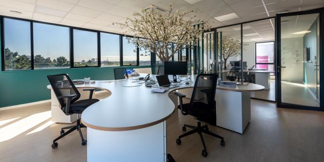 Bureau sur-mesure avec intégration d'un arbre stabilisé 